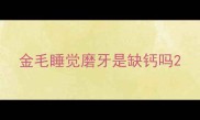 金毛睡觉磨牙是缺钙吗