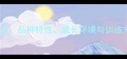 金毛犬性格差异全品种特性成长环境与训练方式的三重影响