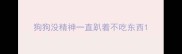 狗狗没精神一直趴着不吃东西