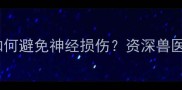 泰迪疫苗注射全攻略如何避免神经损伤资深兽医亲授神经保护黄金法则
