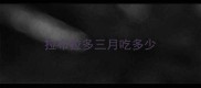 拉布拉多三月吃多少