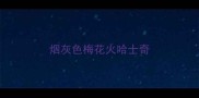 烟灰色梅花火哈士奇