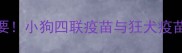 科学防护很重要小狗四联疫苗与狂犬疫苗的接种全流程