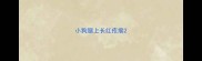 小狗腿上长红疙瘩