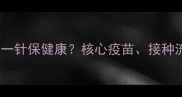 狗狗疫苗全攻略一针保健康核心疫苗接种流程与注意事项全