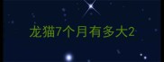 龙猫7个月有多大