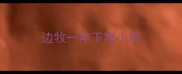 边牧一年下窝小狗
