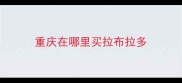 重庆在哪里买拉布拉多