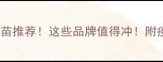 韩国进口狗疫苗推荐这些品牌值得冲附疫苗对比全攻略