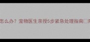 狗狗驱虫后拉稀怎么办宠物医生亲授5步紧急处理指南附家庭护理清单