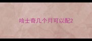 哈士奇几个月可以配