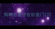 狗狗总是守在卧室门口
