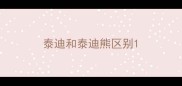 泰迪和泰迪熊区别