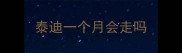 泰迪一个月会走吗