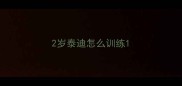 2岁泰迪怎么训练