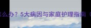 金毛犬眼屎多怎么办5大病因与家庭护理指南附误区提醒