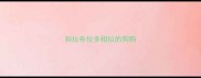 和拉布拉多相似的狗狗