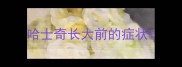 哈士奇长大前的症状