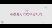 小泰迪可以吃哈密瓜吗