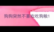 狗狗突然不喜欢吃狗粮