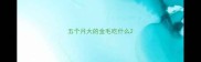 五个月大的金毛吃什么