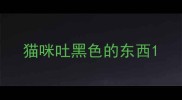 猫咪吐黑色的东西