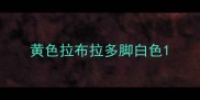 黄色拉布拉多脚白色