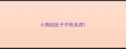小狗拉肚子不吃东西