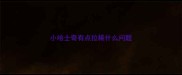 小哈士奇有点拉稀什么问题