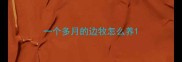 一个多月的边牧怎么养