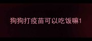 狗狗打疫苗可以吃饭嘛