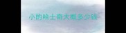 小的哈士奇大概多少钱