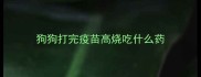 狗狗打完疫苗高烧吃什么药