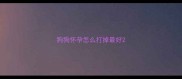 狗狗怀孕怎么打掉最好