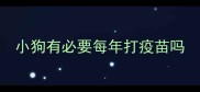 小狗有必要每年打疫苗吗