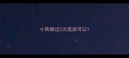 小狗做过2次疫苗可以