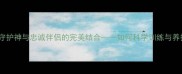 拉布拉多犬家庭守护神与忠诚伴侣的完美结合如何科学训练与养护守护型拉布拉多