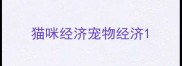 猫咪经济宠物经济
