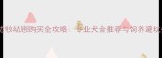 河北边牧幼崽购买全攻略专业犬舍推荐与饲养避坑指南