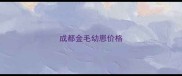 成都金毛幼崽价格