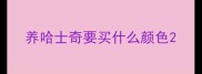 养哈士奇要买什么颜色