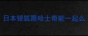 日本银狐跟哈士奇能一起么