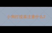 小狗打疫苗注意什么