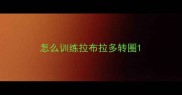 怎么训练拉布拉多转圈