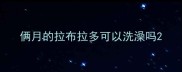 俩月的拉布拉多可以洗澡吗