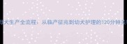 拉布拉多母犬生产全流程从临产征兆到幼犬护理的120分钟关键时间表