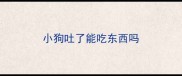 小狗吐了能吃东西吗