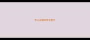 怎么给猫咪剪毛整齐