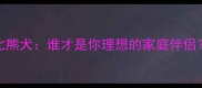 泰迪熊vs比熊犬谁才是你理想的家庭伴侣最新对比