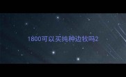 1800可以买纯种边牧吗
